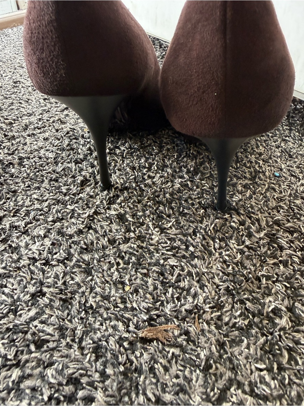 Giuseppe Zanotti Brown Velvet Pointed Toe Stilettos Size 40 - Picture 6 of 12